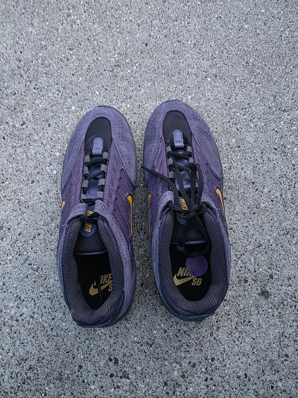 Nike Vertebrae SB 'Dark Raisin Sneaker Youth Boys 6.5
